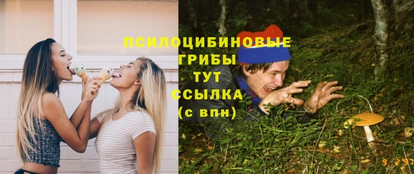 2c-b Надым