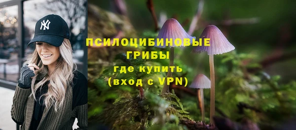 шишки Навашино