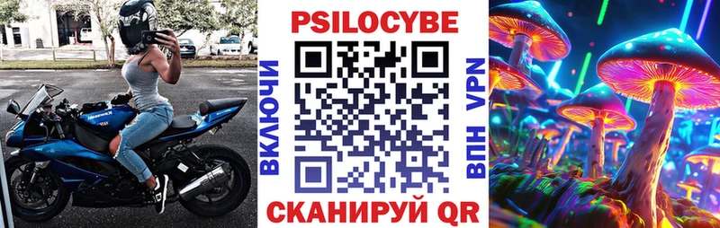 Псилоцибиновые грибы Psilocybe Истра